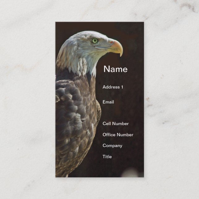 American Bald Eagle Business Card (Front)