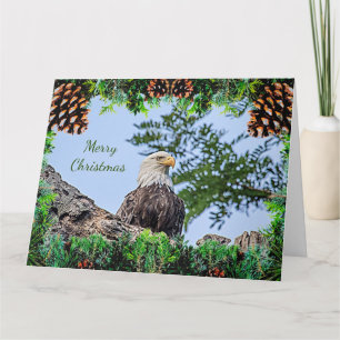 American Bald Eagle Christmas Card
