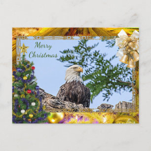 American Bald Eagle Christmas Card