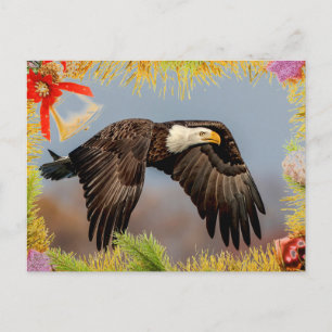 American Bald Eagle Christmas Card