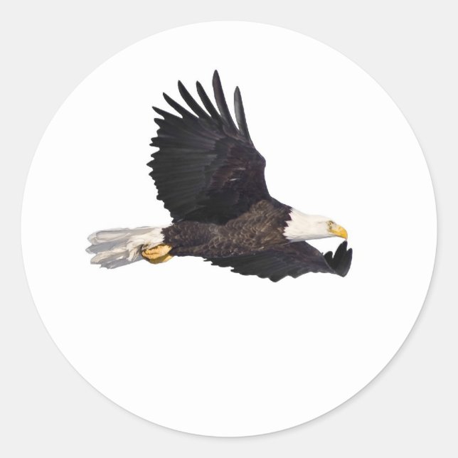 American Bald eagle Classic Round Sticker (Front)