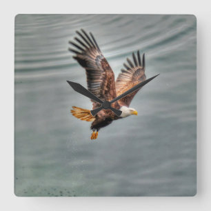 American Bald Eagle Flying Over Ocean Square Wall Clock