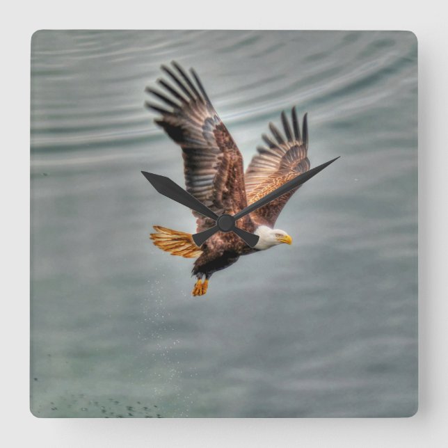 American Bald Eagle Flying Over Ocean Square Wall Clock (Front)