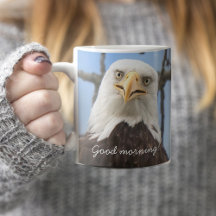 American Bald Eagle Good Morning Funny 