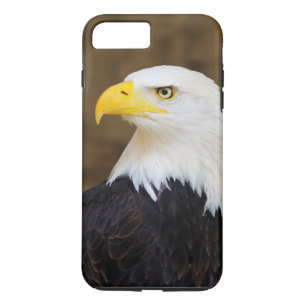 American Bald Eagle Haliaeetus Leucocephalus iPhone 8 Plus/7 Plus Case