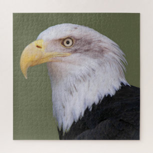 American Bald Eagle Head Jigsaw Puzzle