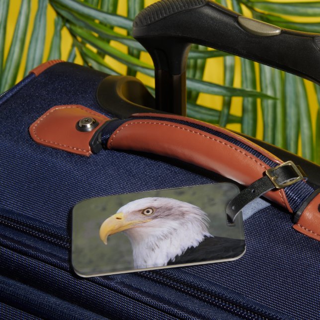 American Bald Eagle Head Luggage Tag (Front Insitu 3)