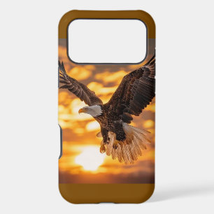American Bald Eagle In Flight Sunset Clouds Photo