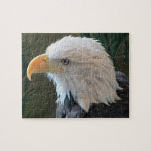 American Bald Eagle Jigsaw Puzzle