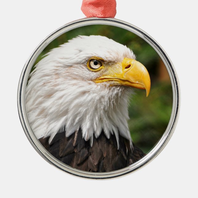 American Bald Eagle Metal Ornament (Front)