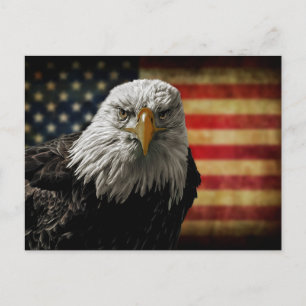 American Bald Eagle on Grunge Flag Postcard