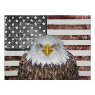 American Bald Eagle Patriot Poster