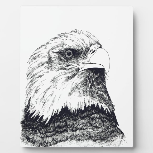 American Bald Eagle Plaque (Front)