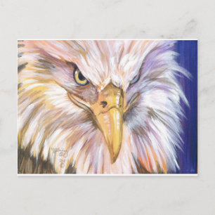American Bald Eagle Postcard