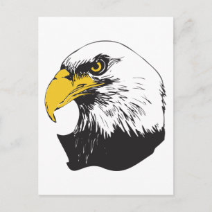 American Bald Eagle Postcard