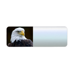 American Bald Eagle Return Address Label