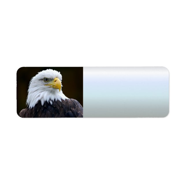 American Bald Eagle Return Address Label (Front)
