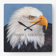 American Bald Eagle With Your Text