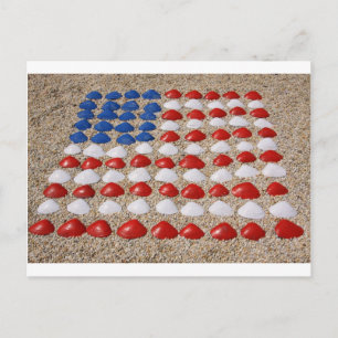 American Beach SeaShells Postcard