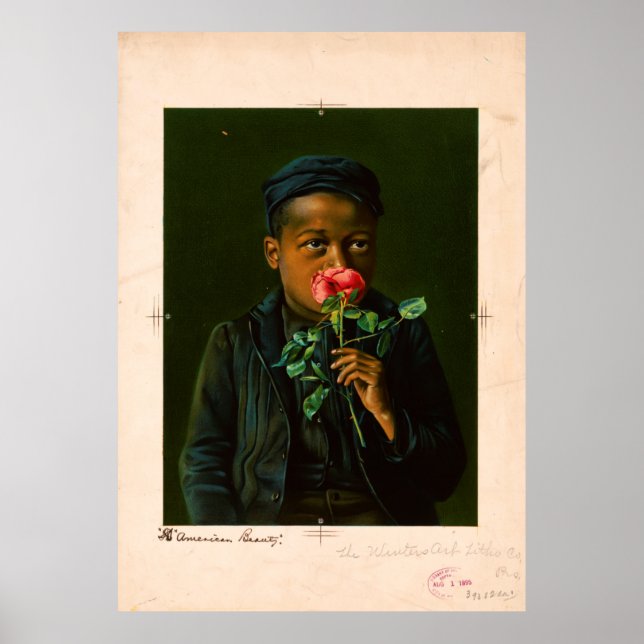 American Beauty (1895) Poster (Front)