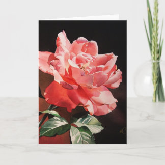 American Beauty Greeting Card