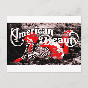 american beauty postcard