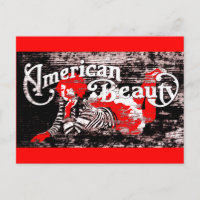 american beauty