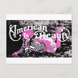 american beauty postcard