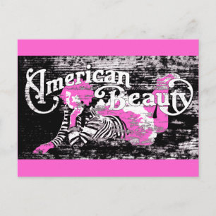 american beauty postcard