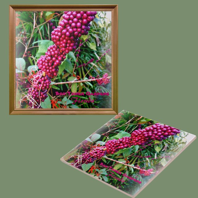American Beautyberry at Bok Tower Gardens Florida Ceramic Tile (Creator Uploaded)