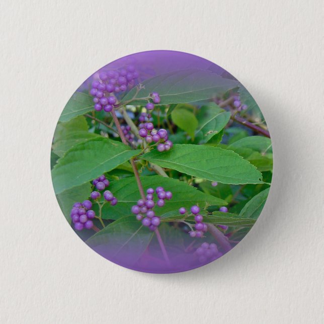 American Beautyberry (Callicarpa americana) 6 Cm Round Badge (Front)