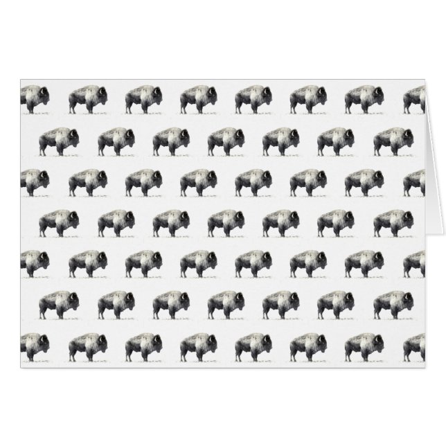 American Bison (Front Horizontal)