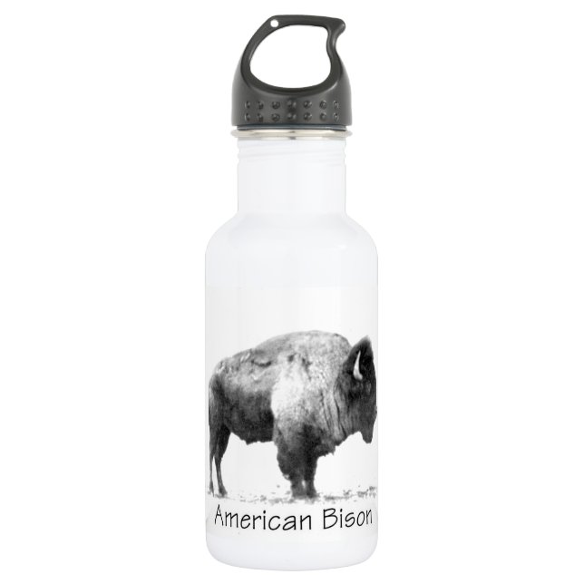 American Bison 532 Ml Water Bottle (Front)