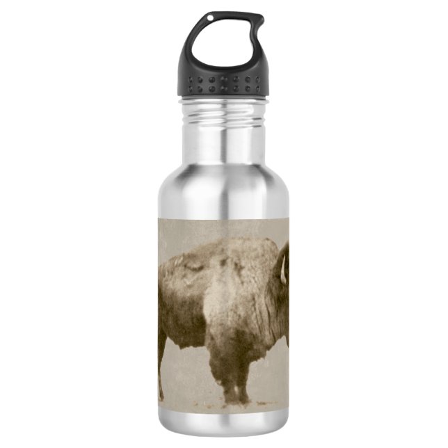 American Bison. 532 Ml Water Bottle (Front)