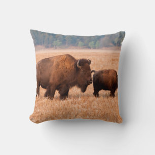 American Bison (Bison Bison) Cow And Calf Cushion