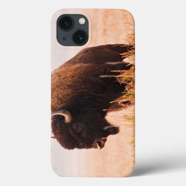 American Bison (Bison Bison) Herd In Teton 2 Case-Mate iPhone Case (Back)