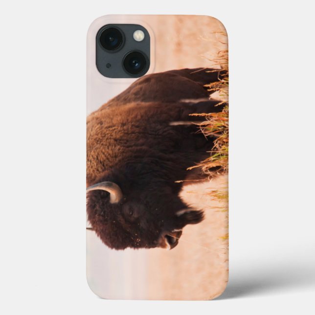 American Bison (Bison Bison) Herd In Teton 2 Case-Mate iPhone Case (Back)