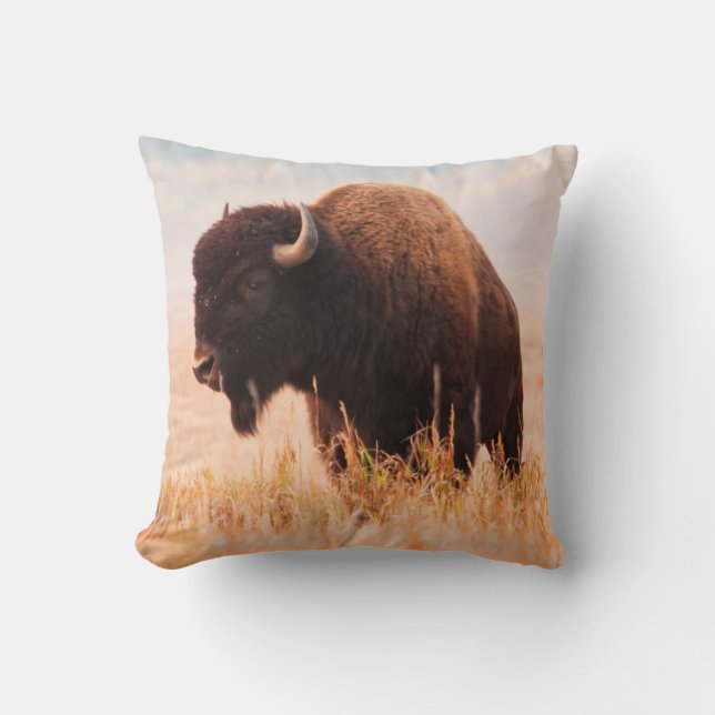 American Bison (Bison Bison) Herd In Teton 2 Cushion (Front)