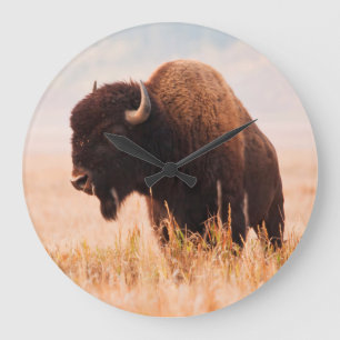 American Bison (Bison Bison) Herd In Teton 2 Large Clock