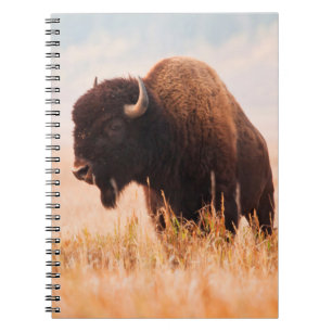 American Bison (Bison Bison) Herd In Teton 2 Notebook