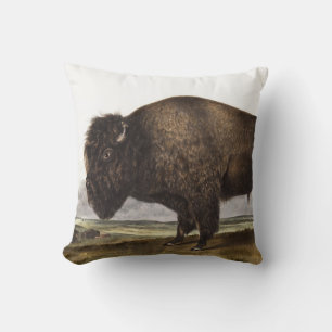 American Bison (Bos Americanus) Illustration Cushion