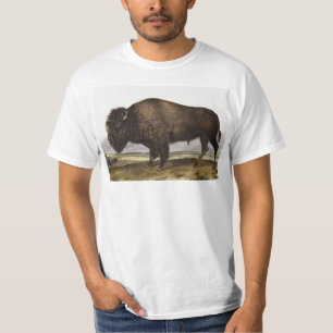 American Bison (Bos Americanus) Illustration T-Shirt