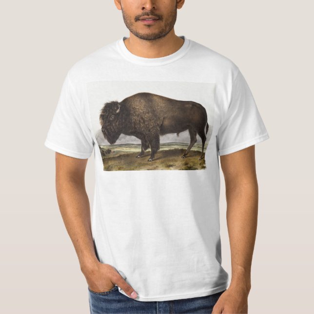 American Bison (Bos Americanus) Illustration T-Shirt (Front)