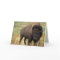 American Bison / Buffalo Birthday Card