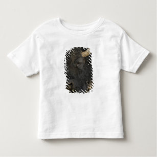 American Bison 'Buffalo' Bison bison), male, Toddler T-Shirt