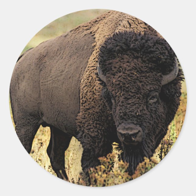 American Bison Classic Round Sticker (Front)