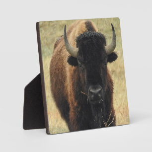 American Bison Desktop Plaque