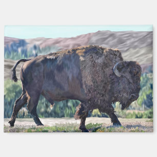 American Bison Grassland Western Wildlife Magnet