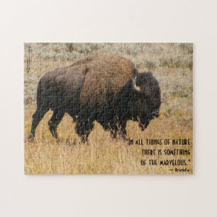 American Bison Grazes In Meadow Grass Photo Custom Jigsaw Puzzle