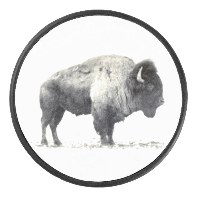 American Bison Hockey Puck (Front)